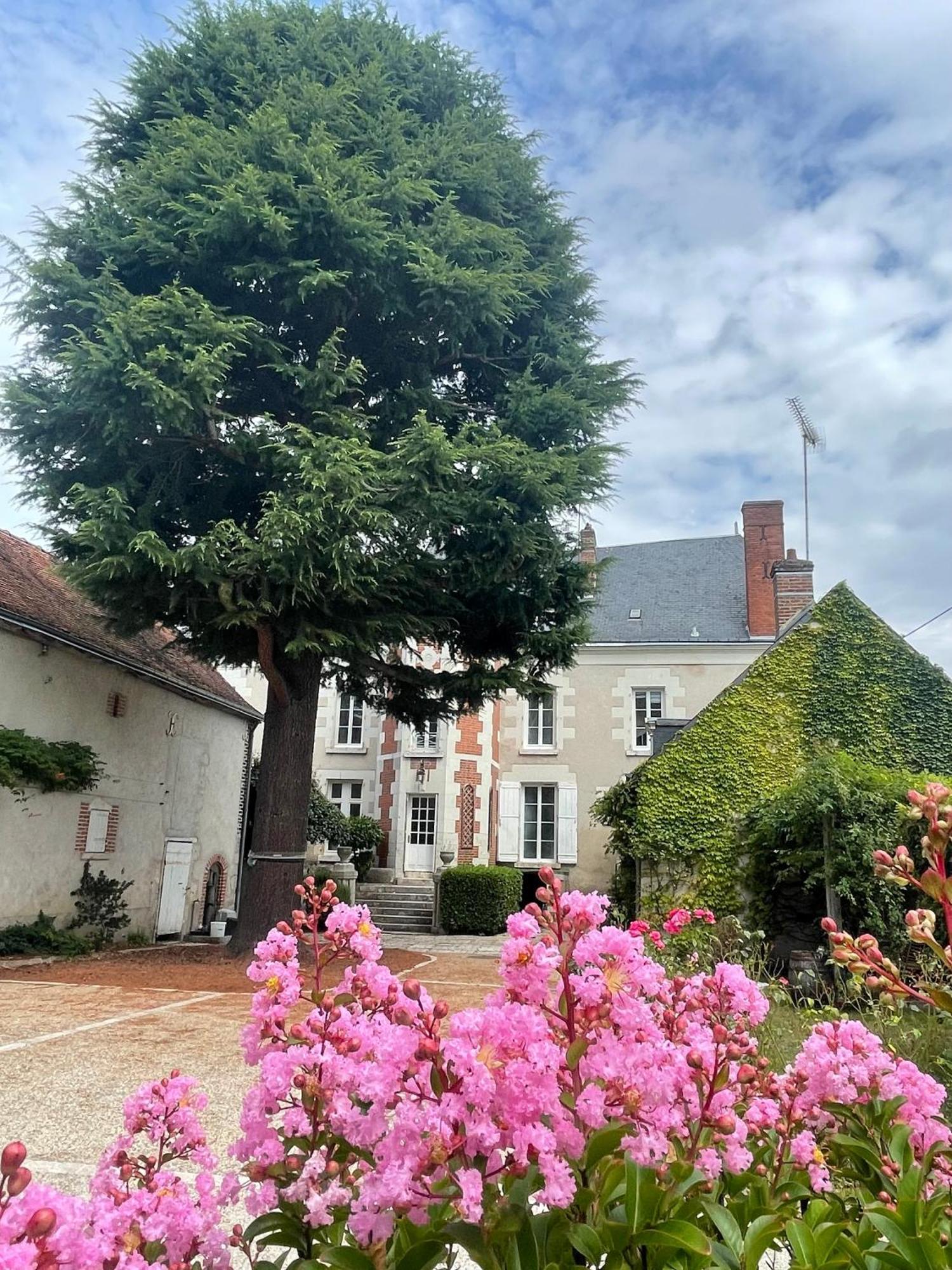 La Maison Voyage Bed And Breakfast Onzain Bagian luar foto